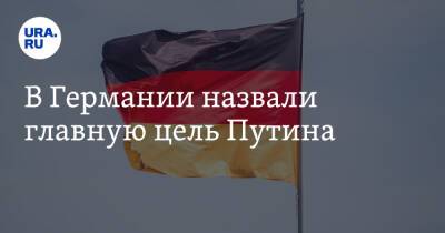 Владимир Путин - Михаэль Рот - Анналена Бербок - В Германии назвали главную цель Путина - ura.news - Россия - Украина - Германия