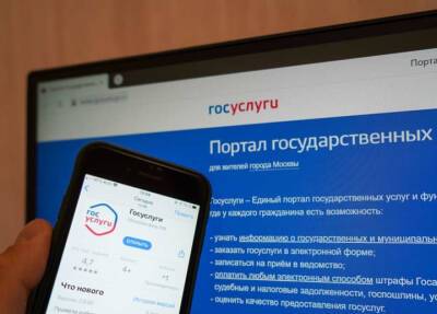 Госуслуги предупредили о случаях мошенничества с аккаунтами пользователей - province.ru