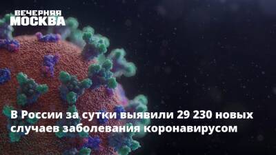 митрополит Иларион - В России за сутки выявили 29 230 новых случаев заболевания коронавирусом - vm.ru - Москва - Россия