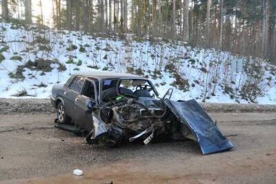 Личности пяти погибших в воскресном ДТП под Печорами установили правоохранители - mk-pskov.ru - Россия - Псковская обл. - Псков