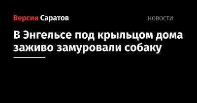 В Энгельсе под крыльцом дома заживо замуровали собаку - nversia.ru