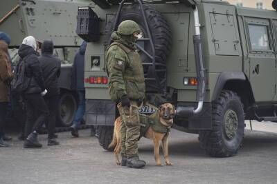 В Демянске откроют военный музей и покажут сбитый в 41-м Ил-2 - mk.ru - Новгородская обл. - Великий Новгород