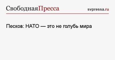 Дмитрий Песков - Песков: НАТО — это не голубь мира - svpressa.ru - Москва - Россия - Украина - Киев - Германия