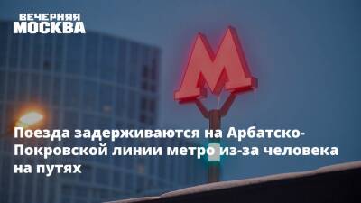 Поезда задерживаются на Арбатско-Покровской линии метро из-за человека на путях - vm.ru - Москва