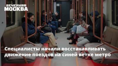 Специалисты начали восстанавливать движение поездов на синей ветке метро - vm.ru - Москва
