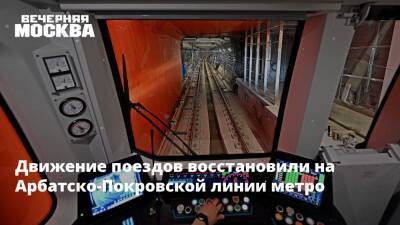 Движение поездов восстановили на Арбатско-Покровской линии метро - vm.ru - Москва