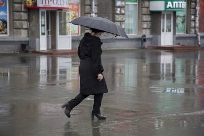 Зимний дождь и сильный ветер придут 17 января в Новосибирск - novos.mk.ru - Новосибирск