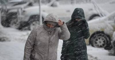 Погода в Украине на 17 января: Мокрый снег и гололед, местами сильный ветер - dsnews.ua - Украина - Киев - Киевская обл.