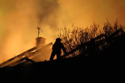 В Димитровграде горел садовый домик. Погиб 54-летний мужчина - ulpravda.ru - Ульяновская - Димитровград