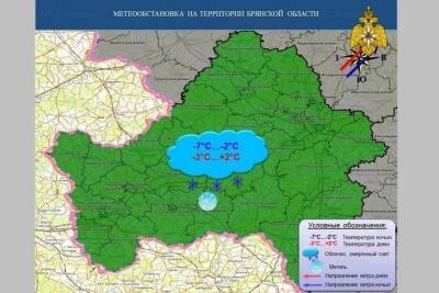 Брянцев предупредили о метели и порывистом ветре - mk.ru - Брянская обл.