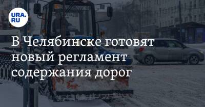 Наталья Котова - В Челябинске готовят новый регламент содержания дорог - ura.news - Челябинск