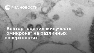 ГНЦ "Вектор" заявил, что "омикрон" становится неактивным на керамике менее чем за 24 часа - ria.ru - Москва - Россия - Юар - Ботсвана