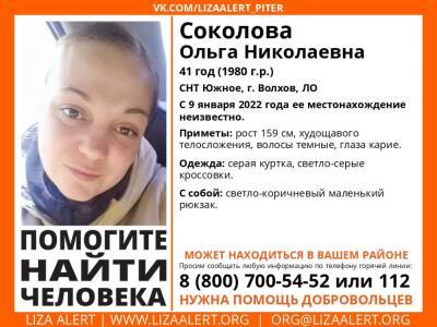 Элизабет Алерт - В Волховском районе без вести пропала 41-летняя женщина - ivbg.ru - Украина - Ленобласть