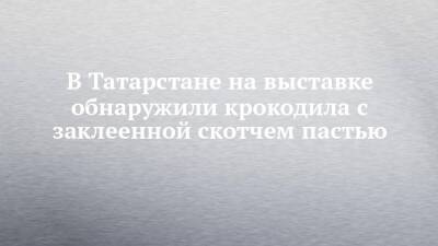 Руслан Галиев - В Татарстане на выставке обнаружили крокодила с заклеенной скотчем пастью - chelny-izvest.ru - респ. Татарстан - Зеленодольск