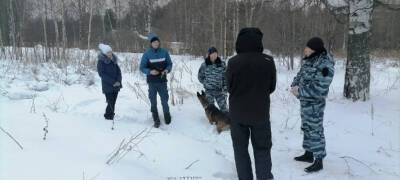 В Карелии кинолог УФСИН обучал волонтеров отряда «ЛизаАлерт» идти по следу с собакой - stolicaonego.ru - Россия - республика Карелия