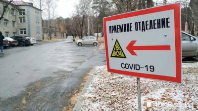 Зоя Осколкова - В России за сутки выявили более 30 тысяч случаев Covid-19 - newdaynews.ru - Москва - Россия - Санкт-Петербург - Московская обл.