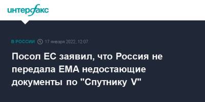 Маркус Эдерер - Посол ЕС заявил, что Россия не передала EMA недостающие документы по "Спутнику V" - interfax.ru - Москва - Россия - Брюссель
