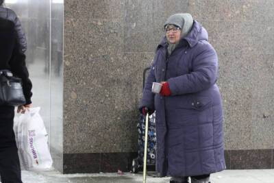 Светлана Бессараб - Депутат Госдумы Бессараб раскрыла содержание новой пенсионной реформы - mk.ru - Россия