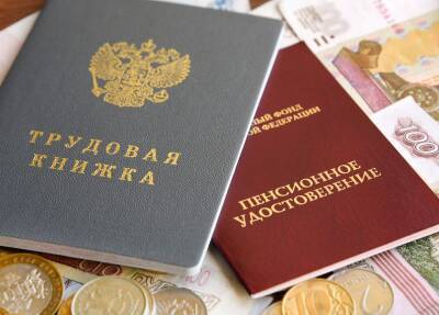 Светлана Бессараб - В Госдуме пообещали россиянам новую пенсионную реформу - bloknot.ru - Россия