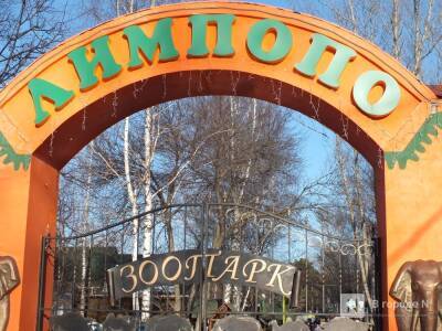 Нижегородский зоопарк возобновляет серию именных акций - vgoroden.ru