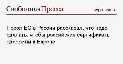 Маркус Эдерер - Посол ЕС в России рассказал, что надо сделать, чтобы российские сертификаты одобрили в Европе - svpressa.ru - Россия - Австралия