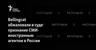 Павел Чиков - Bellingcat обжаловали в суде признание СМИ-иностранным агентом в России - svoboda.org - Москва - Россия - Киев - Голландия - Латвия