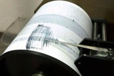 На западе Афганистана произошло землетрясение магнитудой 5,6 - aif.ru - Москва - США - Таджикистан - Туркмения - Afghanistan