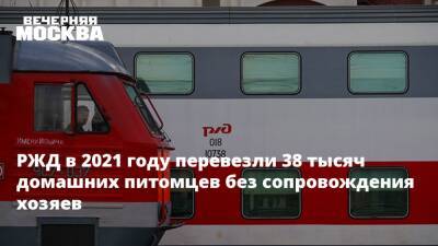 РЖД в 2021 году перевезли 38 тысяч домашних питомцев без сопровождения хозяев - vm.ru - Москва - Санкт-Петербург - Волгоград