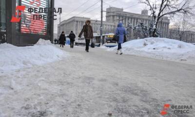 Екатерина Лазарева - Петербуржцы окрестили ситуацию с уборкой города Ледниковым периодом - fedpress.ru - Петербурга