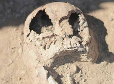 Элиас Готье - В Китае археологи обнаружили крупнейший в мире череп древнего человека - actualnews.org - Китай