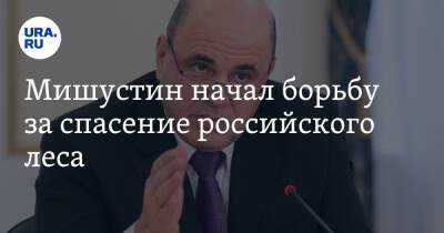 Михаил Мишустин - Виктория Абрамченко - Мишустин начал борьбу за спасение российского леса - ura.news