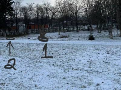 В Ростовской области вандалы срезали три голубые ели, посаженные на мемориале «Жертвам фашизма» - bloknot.ru - Ростовская обл. - Шахты