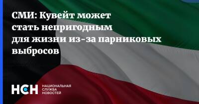 СМИ: Кувейт может стать непригодным для жизни из-за парниковых выбросов - nsn.fm - Кувейт