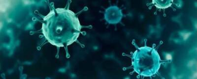 Доктор Лазарев: Корь может обнулить иммунитет при пандемии ковида - runews24.ru - Самоа