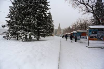 Синоптик назвала самый снежный месяц в Новосибирске за последние 5 лет - novos.mk.ru - Новосибирск
