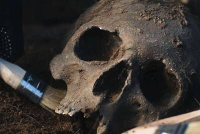 Крупнейший череп древнего человека нашли в Китае - lenta.ua - Китай - Украина - Индонезия