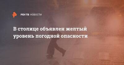 В столице объявлен желтый уровень погодной опасности - ren.tv - Москва - Москва