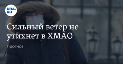 Сильный ветер не утихнет в ХМАО. Прогноз - ura.news - Ханты-Мансийск - Сургут - Югра - Нефтеюганск - Нижневартовск