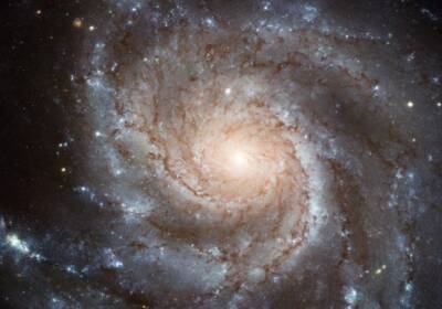 Элиас Готье - Телескоп Hubble запечатлел спиральную галактику NGC 976 с бурным прошлым - actualnews.org