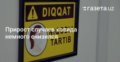 Прирост случаев ковида немного снизился - gazeta.uz - Узбекистан - Ташкент - Ташкентская обл.