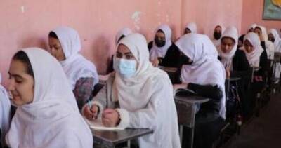 Талибы пообещали открыть все школы для девочек в Афганистане в марте - dialog.tj - Россия - Афганистан