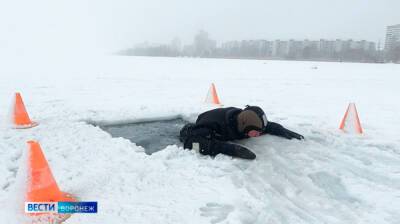 Воронежцам дали инструкцию по спасению провалившегося под лёд - vestivrn.ru