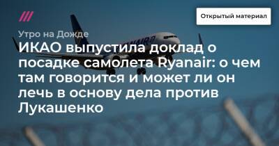 Софья Сапеги - Ли Он - ИКАО выпустила доклад о посадке самолета Ryanair: о чем там говорится и может ли он лечь в основу дела против Лукашенко - tvrain.ru - Белоруссия - Польша - Минск