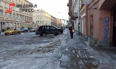 «Глас народа. Петербург»: кто виноват, что городские улицы превратились в каток - fedpress.ru - Москва - Санкт-Петербург