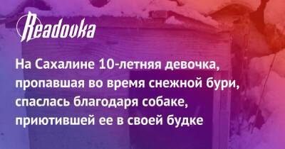 На Сахалине 10-летняя девочка, пропавшая во время снежной бури, спаслась благодаря собаке, приютившей ее в своей будке - readovka.ru