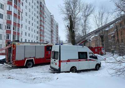 В СК назвали возраст погибшего на пожаре в Дягилеве мужчины - ya62.ru - Рязанская обл.