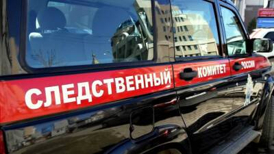В Петербурге задержали мать младенца, труп которого нашли в квартире на проспекте Энергетиков - runews24.ru - Санкт-Петербург