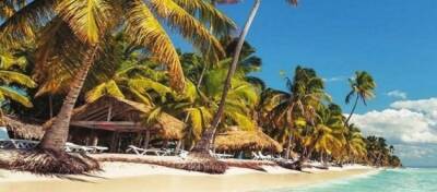 Биткойн-миллионеры переезжают на Карибы: в чем причина - altcoin.info - Техас - Нью-Йорк - Сан-Хосе - Пуэрто-Рико