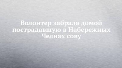 Волонтер забрала домой пострадавшую в Набережных Челнах сову - chelny-izvest.ru - Набережные Челны