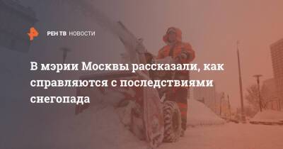Петр Бирюков - В мэрии Москвы рассказали, как справляются с последствиями снегопада - ren.tv - Москва - Москва